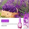 One Drop Long-Lasting Bathroom Air Freshener and Odor Eliminator