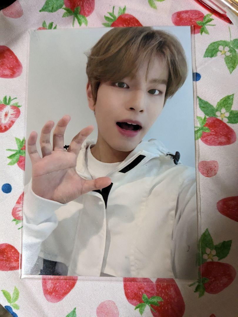 

[USED] StrayKids Seungmin SBS Photo Card