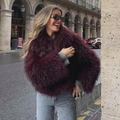 Women's 2023 Winter European & American Street Fashion Faux Fur Lapel Coat