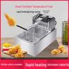 Dual Voltage Electric Deep Fryer: 110V/220V Pan - US/EU/JP Compliant