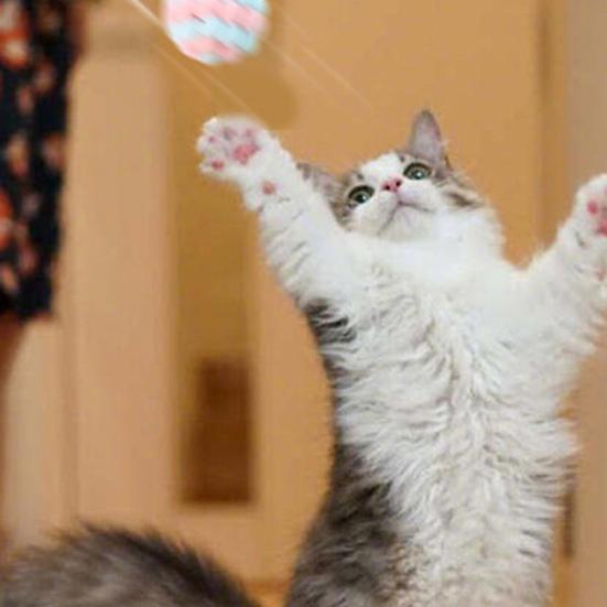 Pet Cats Dogs Color Block Plush Bell Ball Claws Grinding Bite-resistant Chew Toy