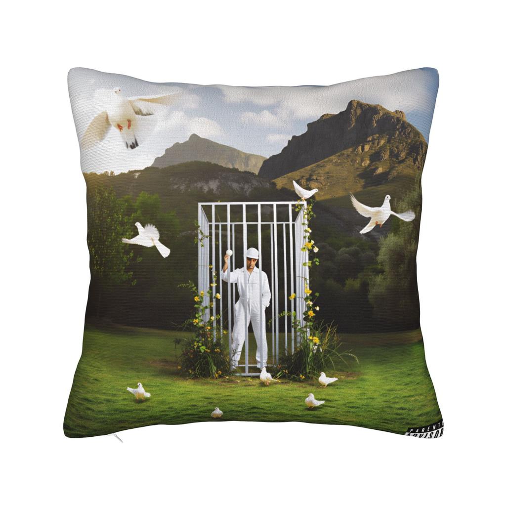 Rapper R-Rels B Pillow Cover  Novelty Pillow Case For Living Room Sofa Design Pillowcases Birthday Present