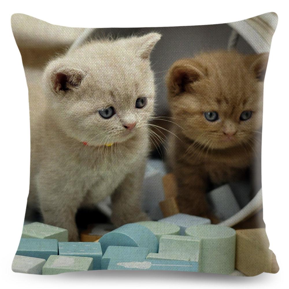 Housse de coussin British Shorthair bleu russe, taie d'oreiller en Polyester, décoration de chat mignon, Animal de compagnie, pour canapé, maison, voiture