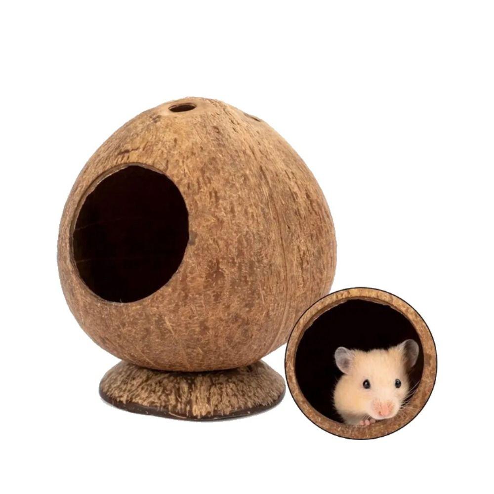 Odporny na zarysowania Domek dla chomika ze skorupy kokosowej Odporne na gryzienie Gniazdo dla chomika Zabawka do gryzienia Ćwiczenie