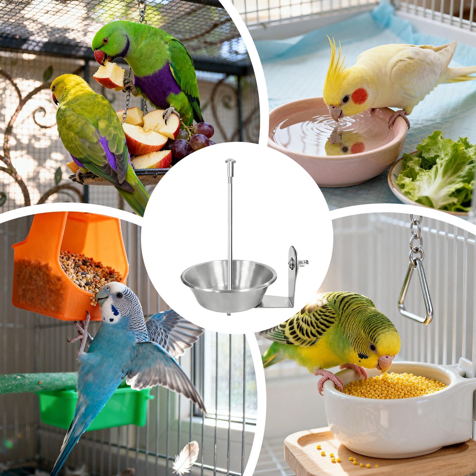 

Bird Cage Feeder No Clutter Fruit Dispenser Stainless Parrot Feeder For Cockatiel Finch Pet Crate Pole Outside Backyard Indoor China Mainland