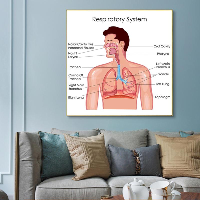 Human Organs Brain Liver Heart Anatomy Poster Print Canvas Painting Human Body Map Medical Classroom Office Room Home Decoration