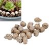 Rlistic Resin Miniature Skull, Reusable Skeleton Hd for Party   Decor with Mystery Ambiance Horror Scene Props, Cool Bar