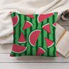 Watermelon Cushion Cover Soft Short Plush Pillow Cover Smooth Cozy Texture Aesthetic Cushion Case Home Decor