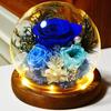 Real Rose Flower Gifts for Women, Birthday Gifts For Women,Womens Gifts for Christmas, Light Up Rose In A Glass Dome,Flower Gifts For Her,Anniversary