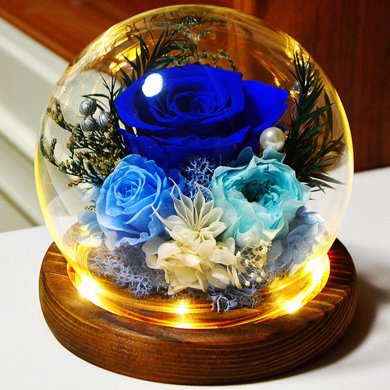 Real Rose Flower Gifts for Women, Birthday Gifts For Women,Womens Gifts for Christmas, Light Up Rose In A Glass Dome,Flower Gifts For Her,Anniversary