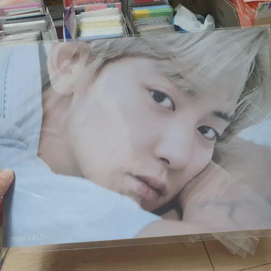 

Exo Flo A4 Printing Pictures