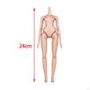1/6 Scale Female Body 1:6 Nude Action Figure Ornament DIY Collectibles
