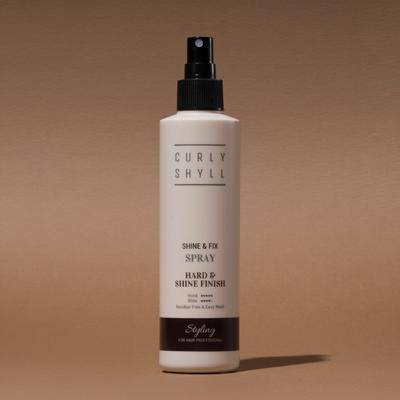 Corrishil Shine and Fix Spray 240 ml, 1 unità