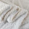 Double-Layer Thickened Pineapple and Coral Fleece Blanket - Lamb Fleece Cover, Perfect Gift