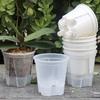 Water Storage Flower Pot Green Plant Pot Butterfly Orchid Breathable Root Control Pot Self Absorbing Transparent Lazy Planters