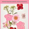 Autumn Dried Flower Bookmark Kit: Transparent Leaf Specimen with Lamination Film Stickers