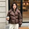 Down jacket women's duck down stand-up collar women's winter Korean version women's clothing Pinghu down jacket large size