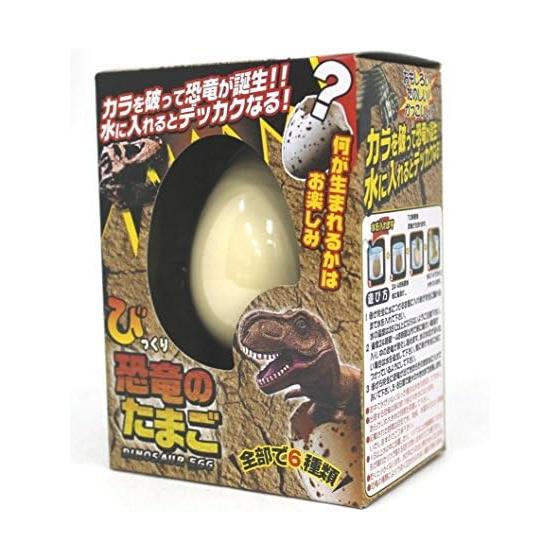 When you put it in water, the egg turns into a dinosaur! Surprise egg dinosaur 206-667