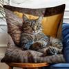 Contemporary Hypoallergenic Pillow Cover Adorable Fat Cat & Remote Zipper Closure Cushion Cover Bedroom & Living Room Decor