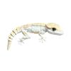 3D Printed Lizard Ornament, Articulated Lizard Fidget, Magnetic Lizard Figurine with Movable Joints, Animal Action Figure Magnet for Desktop