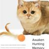Interactive Elastic Ball Toy for Cats And Dogs Funny Feather Football Plaything Kitten Kitty Doggy Pet Supplies