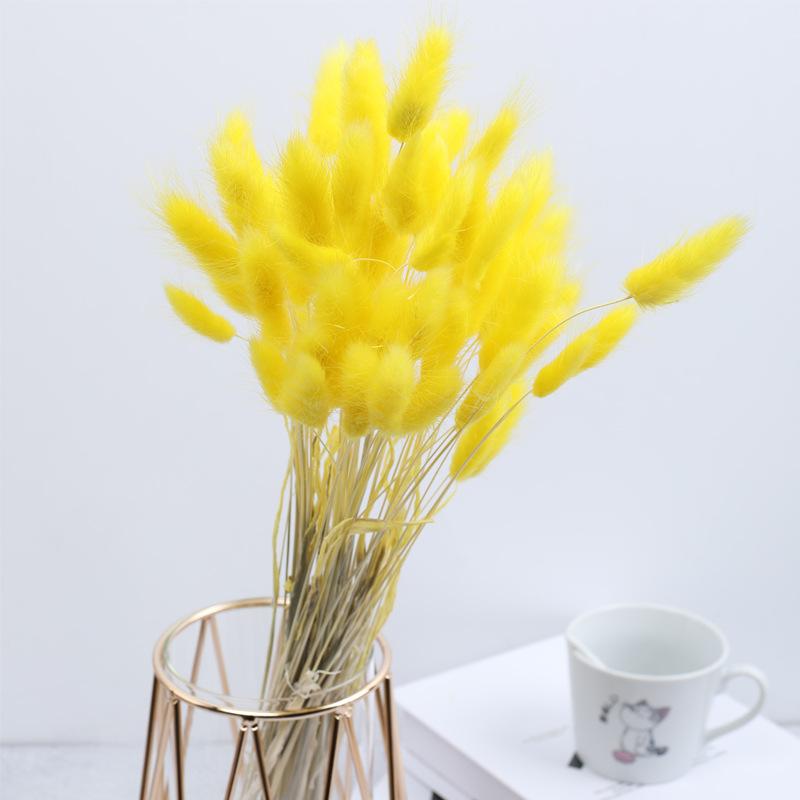 Rabbit Tail Grass Dried Flower Bouquet Home Decoration Flower Arrangement Dog Tail Grass Dried Flower Rabbit Tail Grass