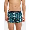 Боксеры Jack & Jones Flamingo