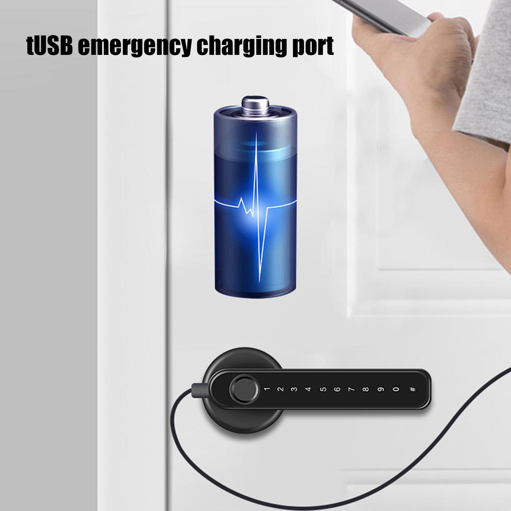 Fingerprint   Single Row Electronic Password Room Door Smart Fingerprint Identification Lock