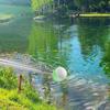 Golf – Top Toplayıcılar