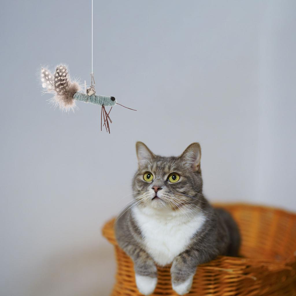 2Pcs Feather Cat Wand Replacement Adorable Kitten Heads for Indoor Cats Exercise and Play Refills Cat Attachment