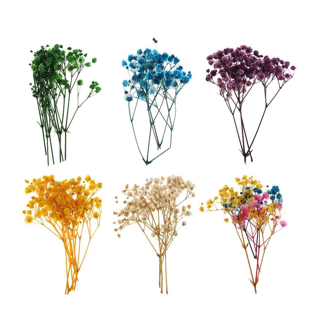 Pressed Leaves Dried Flower Embellishments for Scrapbooking Jewelry Making Resin Crafts Small Natural Floral Art