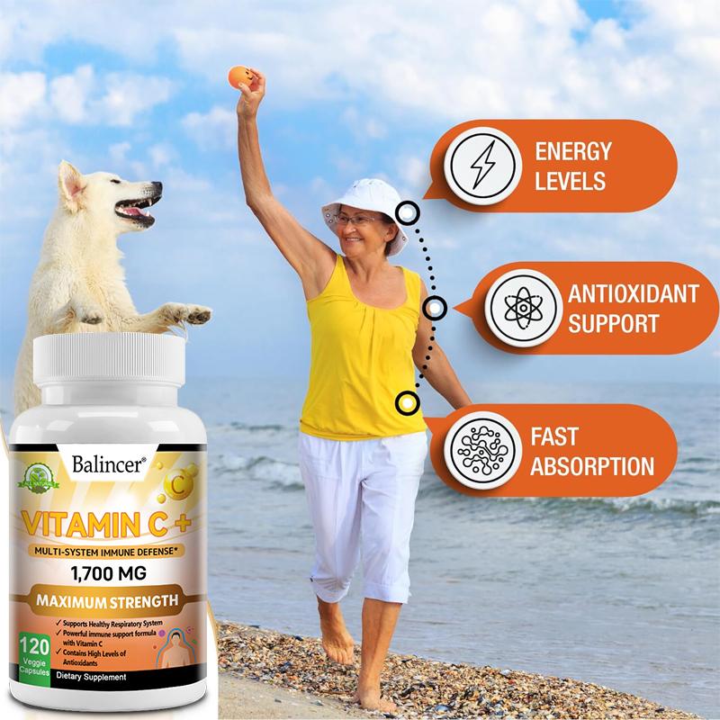 Vitamin C D3 Dietary Supplement, With Zinc, Ginger Root, 120 Capsules Per Bottle