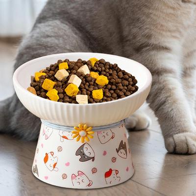 Cat Bowl Elevated Dish Washable Large Capacity Non Spillage Overturning Food Basin Feeding