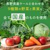 Morinaga & Co. Oishii Aojiru (Delicious Green Juice) 125ml (24 Bottles) Made with Japanese Vegetables and Fruits, Functional Food (Aojiru, 24)
