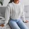 Damenmode Lässig Herbst Winter Rollkragen Zopfmuster Crop Pullover Top