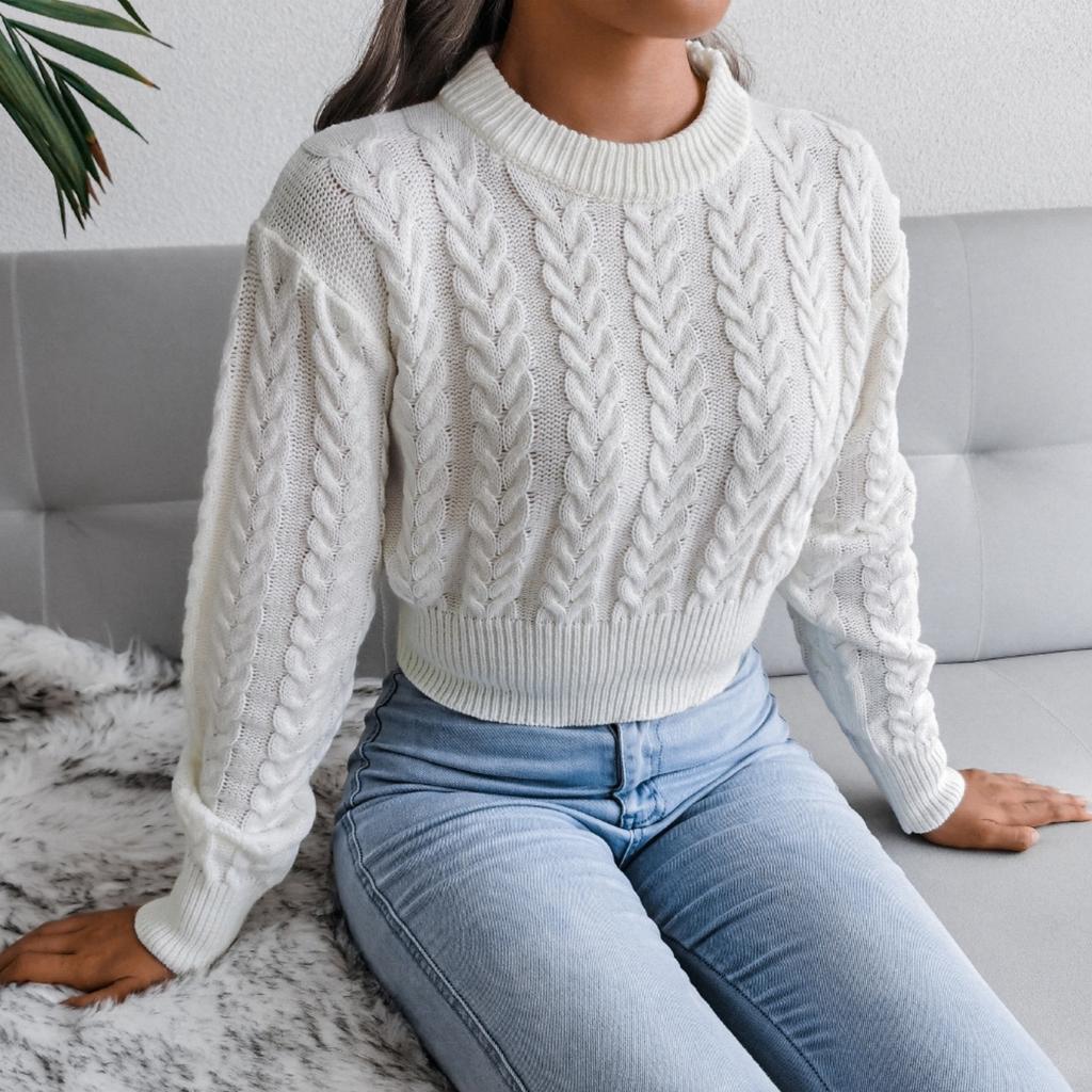 Damenmode Lässig Herbst Winter Rollkragen Zopfmuster Crop Pullover Top