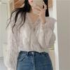 Hic Early Spring Lace Doll Collar Chiffon Shirt Women's Senior Design Sense Niche French Sweet Chic Top