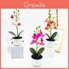 Sztuczna Phalaenopsis w doniczce Sztuczny Sztuczny Kwiat Do Dekoracji Wnętrz i Zewnętrznych Oraz Do Użytku Fotograficznego