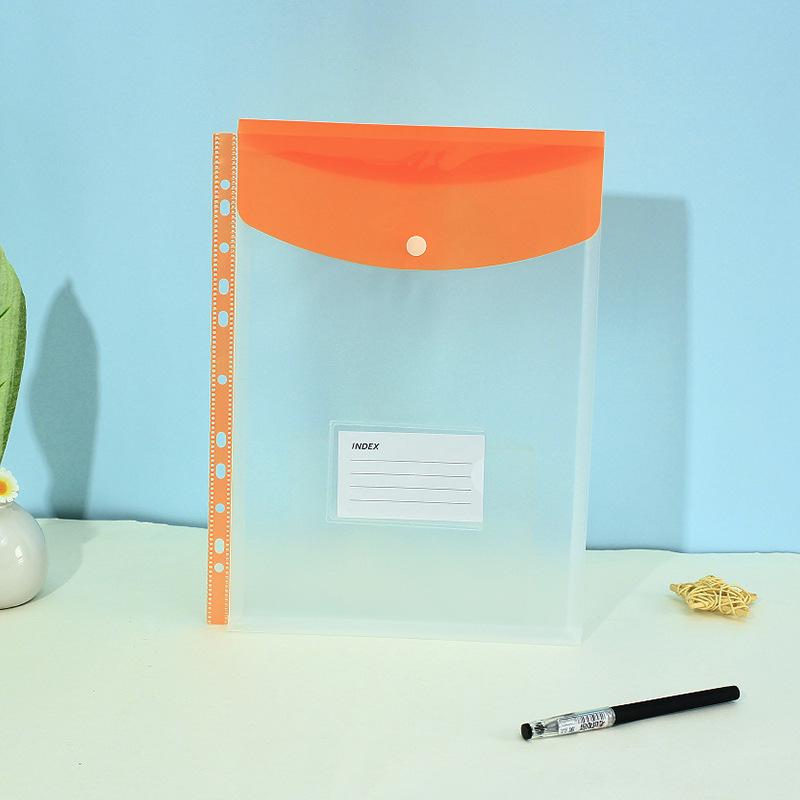 11-Hole 3D A4 Transparent Snap-Button File Bag with Card Holder - Colorful Student Document Organizer