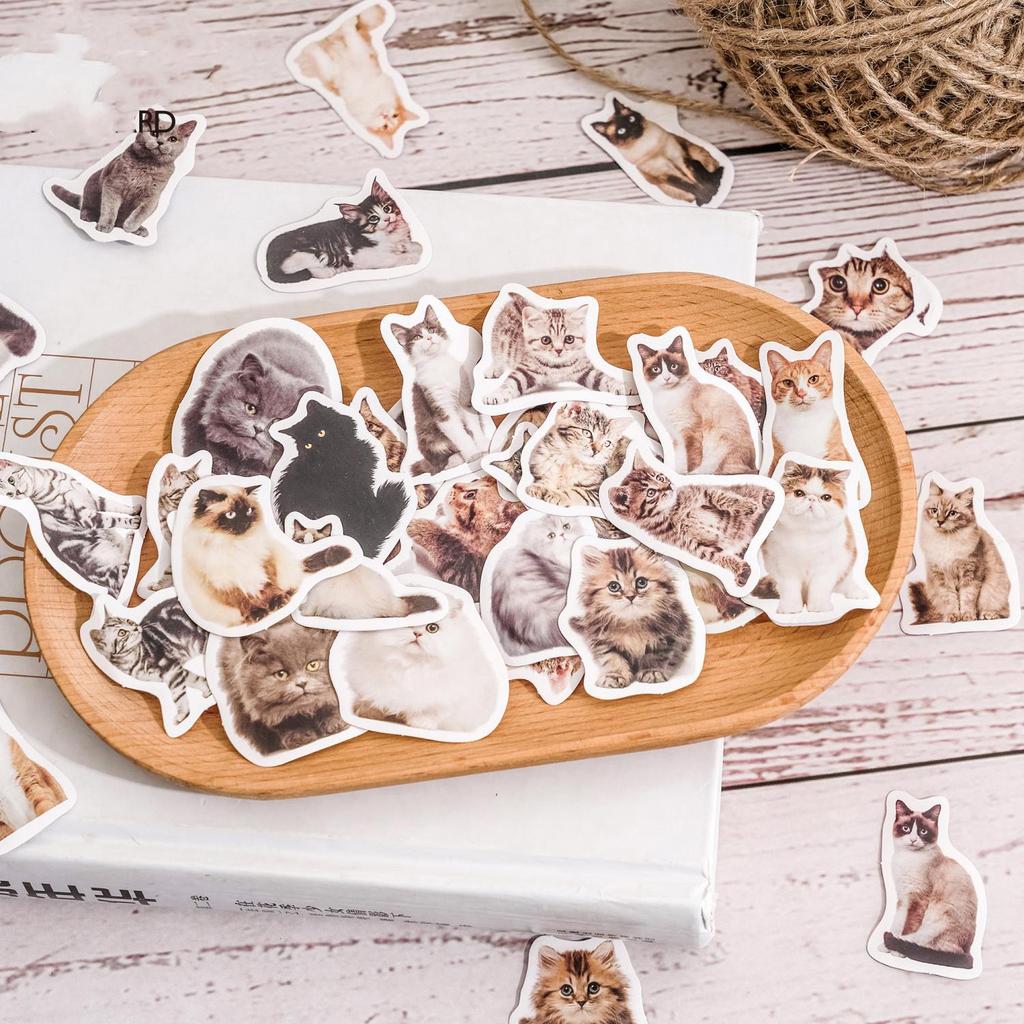 Kawaii Cat-klistremerke Søt jente-klistremerke Kawaii tegneserie prinsesse-pike-klistremerke Nydelig klistremerke for DIY dekorative utklippsbokflaske bagasje