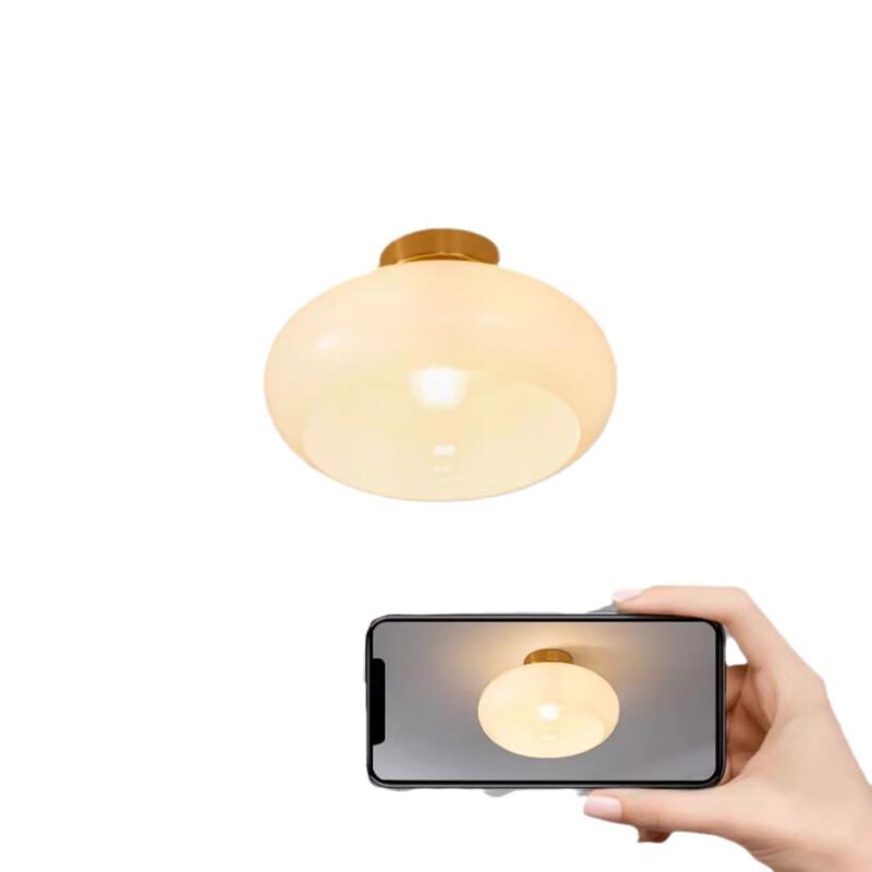 UOSU Vintage Glass Entrance Hall Light