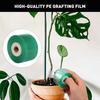 Self-Adhesive Pe Stretchable Tape Garden Tree Plants Seedlings Grafting Tape Fasten Organiser Air Layering Grafting Accessories