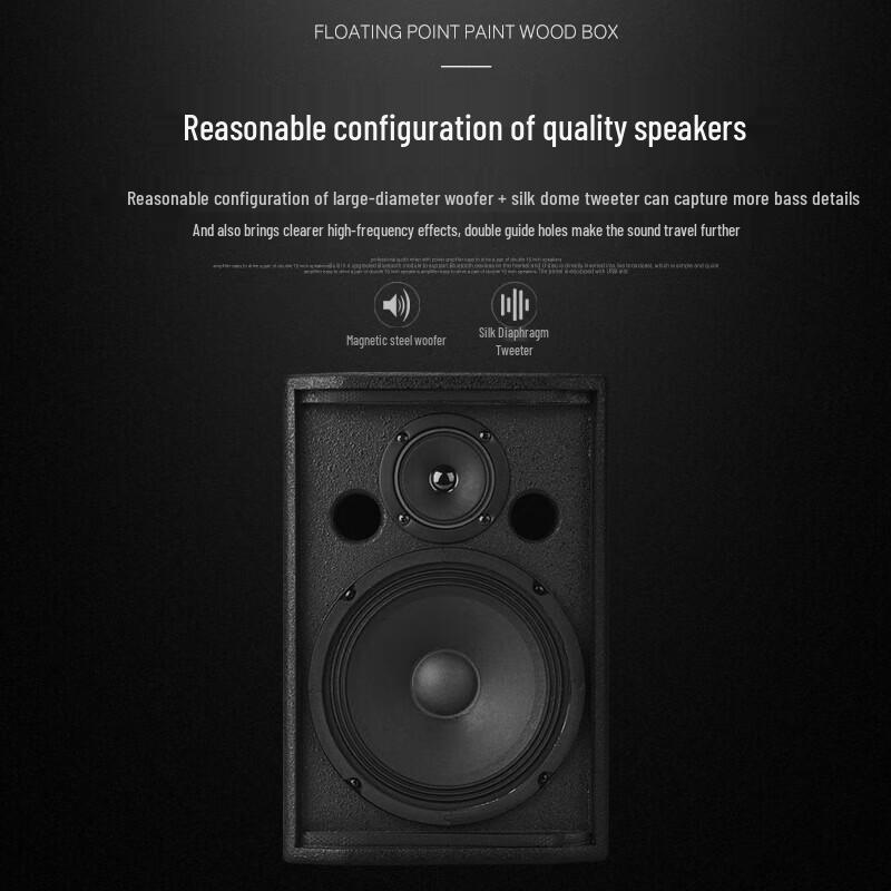 KAXISAIERS80 S80 8-inch Passive Conference Speaker CN Plug (adapter Included)