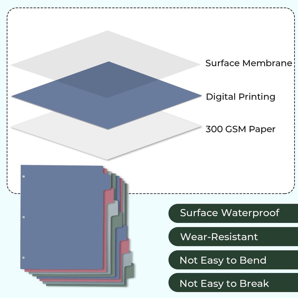 Y YOMA Colored 3 Ring Binder Dividers with Tabs Letter Size Paper Binder Tabs Page Dividers Cute Decorative Binder Index Dividers for Office School