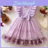 Girl Summer Princess Dress With Butterfly Mesh Fabric For Toddler Birthday Party