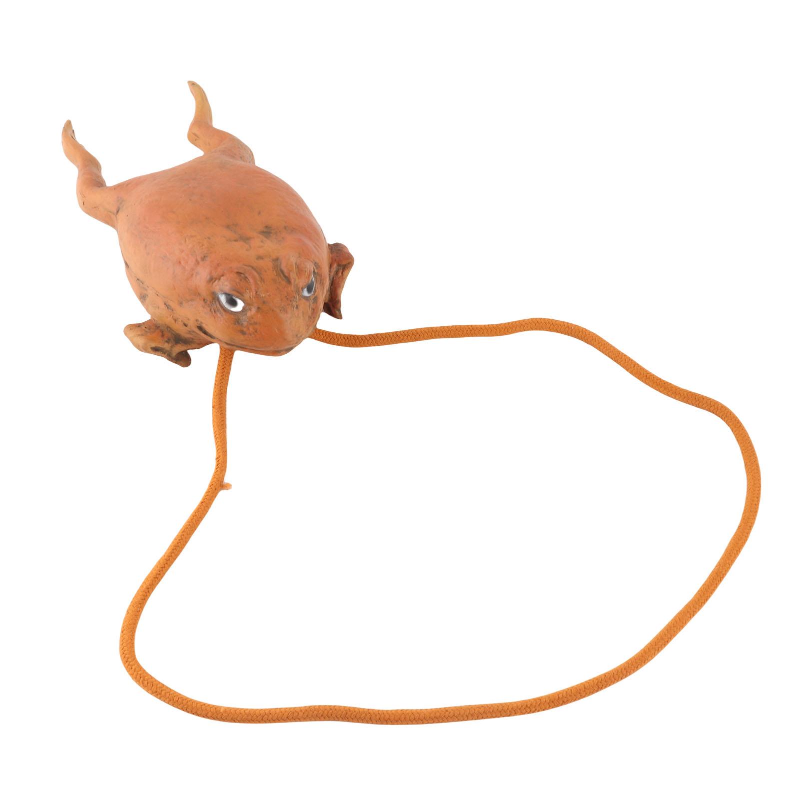 

Sugar Cane Toad Full Body Purses Animal Coin Purse Multifunctional Toad Storage Bag Gift for Friends