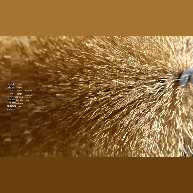 Electric Rust Removal & Polishing Tool with Stainless Steel Pipe Brush