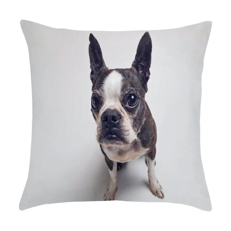 Cute Pet Puppy Black and White Art Photo Office Sofa Cushion Pillowcase