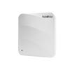 Ruijie RG-RAP230 High-Density Ceiling-Mount AP
