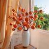 Persimmon Fruit Flower Arrangement: New Year's Dried Floral Decoration